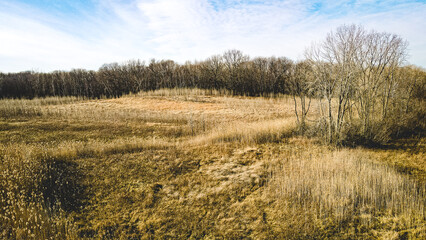 Fototapeta premium Vibrant meadow in autumn
