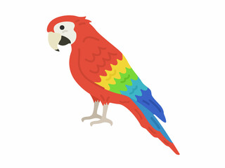 横から見た、オウムのイラスト