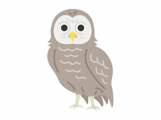 フクロウのイラスト