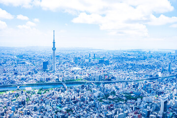 Obraz premium 東京スカイツリー・空撮写真