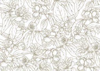 Jasmine Seamless pattern, background. Vector . In botanical style on white background.