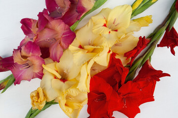 Fototapeta na wymiar gladiolus, gladiolus flower, frame, background, place for text, garden flower, love, heart