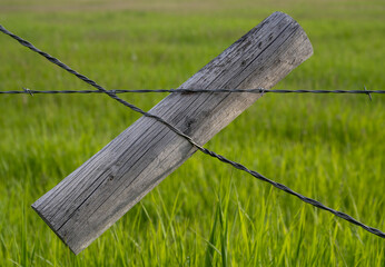 Spanish windlass tightening wire fence
