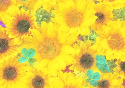 Mini sunflowers drawn with colored pencils.