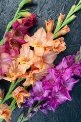 gladiolus, gladiolus flower, frame, background, place for text, garden flower, love, heart