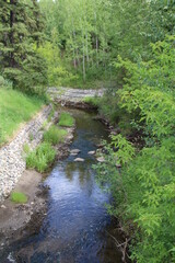 Obraz premium blue stream in the forest