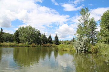 Fototapeta na wymiar lake and forest, Rundle Park, Edmonton, Alberta