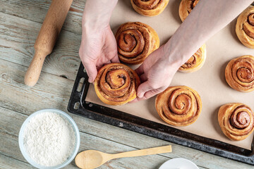 Woman hands are carefully taking out fresh warm cinnamon rolls buns from a baking tray. Concept of...