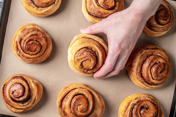 Woman hands are carefully taking out fresh warm cinnamon rolls buns from a baking tray. Concept of delicious homemade pastry and cozy atmosphere