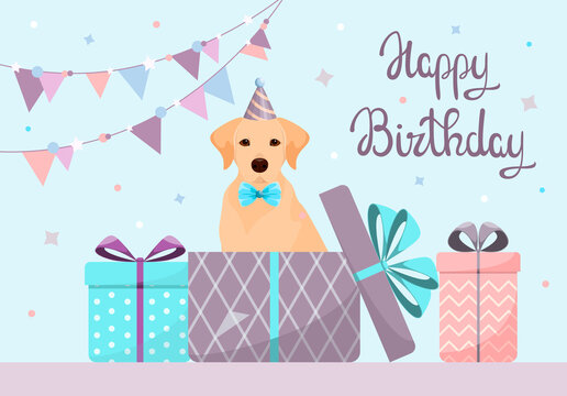 A greeting card with a Labrador. Happy Birthday. Cartoon design.
