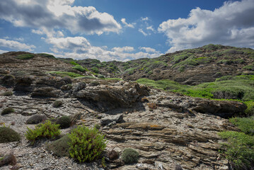 Mediterranean shrublands in Cape of Favaritx, municipality of Mahon, Menorca, Spain