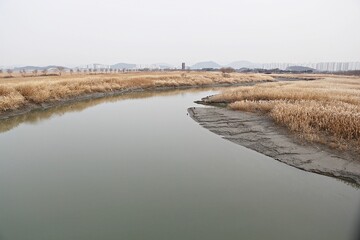 한국의습지생태공원으로지정보호하는곳입니다