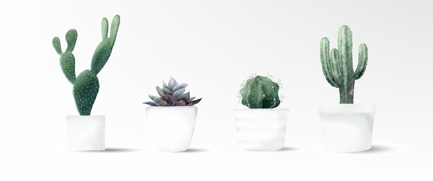 Watercolor cactus minimal collection 2 in cement pot vector design
