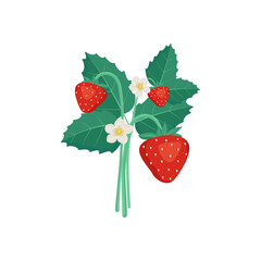 Strawberries with leaves and flowers. Harvesting in the garden or forest. Delicious sweet food, snack, dessert