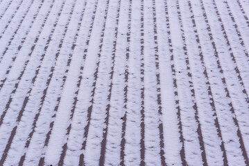 The last snow fell on the roof.