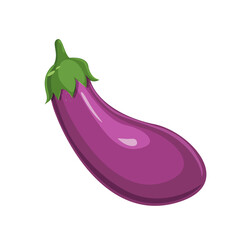 Eggplant. A garden vegetable, a useful product. Cartoon style illustration.
