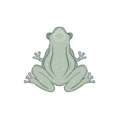 Green frog. Medieval Heraldic coat of arms crest shield emblem - Vector illustration for sticker, poster, banner, web, t-shirt print, pin, bag print, badge. isolated artwork.