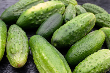 cucumbers, cucumber, food, garden, texture, background, place for text