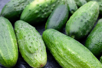 cucumbers, cucumber, food, garden, texture, background, place for text