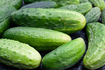 cucumbers, cucumber, food, garden, texture, background, place for text