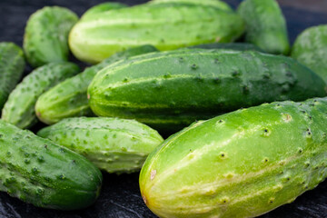 cucumbers, cucumber, food, garden, texture, background, place for text