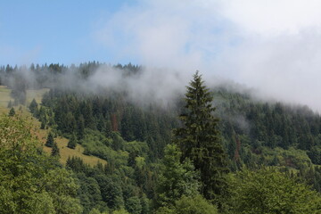 fog in the mountains