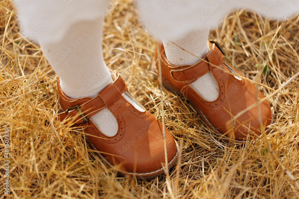 Wall mural little girl wearing a white stocking and brow leather shoe standing on a dry field. high angle view.