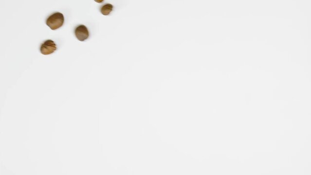 The coffee beans spin rotate quickly fast fly, dispart, splash to the sides with centrifugal coriolis force. The video is in reverse. Coffee beans twist, create pattern, make design figure picture.