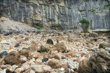 A dry riverbed with round stones of various colors and sizes against a steep cliff with green moss and bushes on a hot summer day. close-up. Yupsharsky canyon 