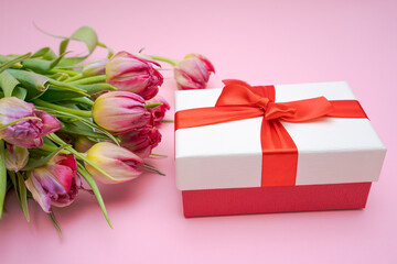 Bouquet beautiful pink tulips lies with gift box with red ribbon. Light pink background. Spring break concept and congratulations, universal postcard