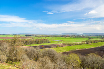 Obraz premium Lush green trees in the spring in a rural landscape