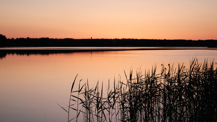 Water surface of the Lake and vegetation during sunset