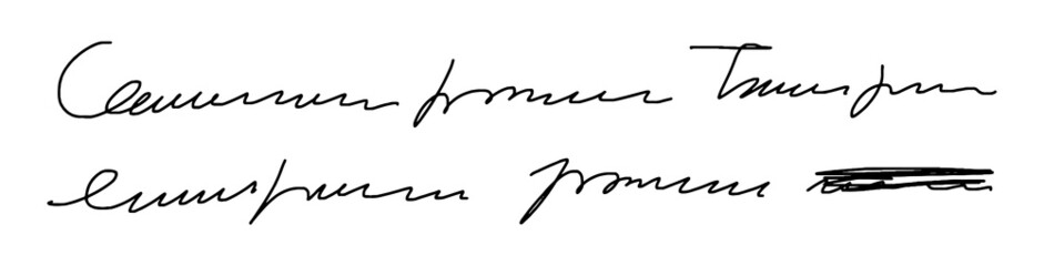 Illegible words in a sentence. Two lines of unreadable text. Unreadable handwriting. Vector illustration isolated on white background.