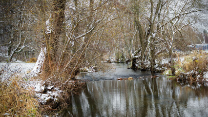 Winter at the river - Winter am Fluß