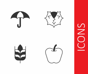 Set Apple, Umbrella, Wheat and Chestnut icon. Vector