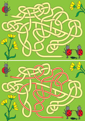 Naklejka premium Ladybug maze