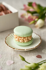 French macaroon cake at home