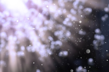 diffused sunlight with highlights and bokeh on a purple background.
