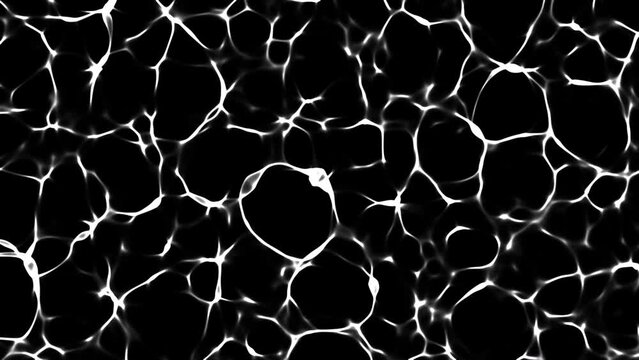 Caustic Water Refraction Map Animation
Dimensions: 3840 x 2160
Codec: H.264
Length: 30 seconds



