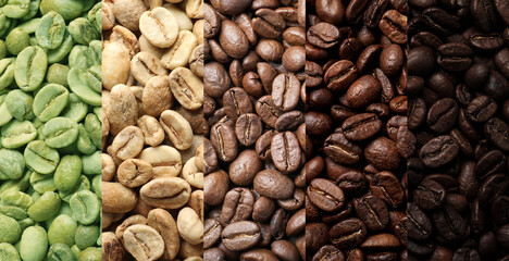 Stages of roasting coffee beans, collage. Banner design