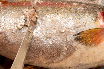 trout are cleaned of scales