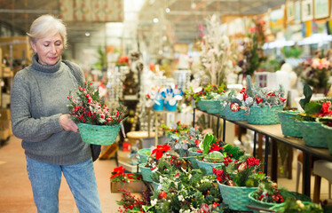 Elderly woman selecting christmas decorations in salesroom of decorative goods shop.