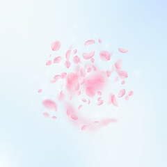 Sakura petals falling down. Romantic pink flowers explosion. Flying petals on blue sky square background. Love, romance concept. Enchanting wedding invitation.