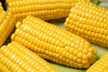 Close up of resh, organic, uncooked halved slices of maize on their leaves