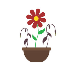 Flowers in a pot. Fresh and dried plants isolated on white background. Potted flowers vector flat design. Cartoon style