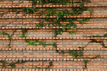 dirty block interior design, birck wall background