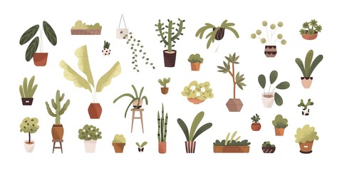 Potted house plants and flowers set. Green leaf houseplants, succulents, cacti. Foliage indoor decor in flowerpots for home and office interior. Flat vector illustrations isolated on white background