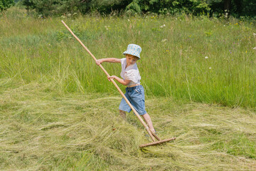 The child collects hay in a haystack. Sunny day.