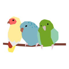 Parrotlet vector illustration in flat color design
