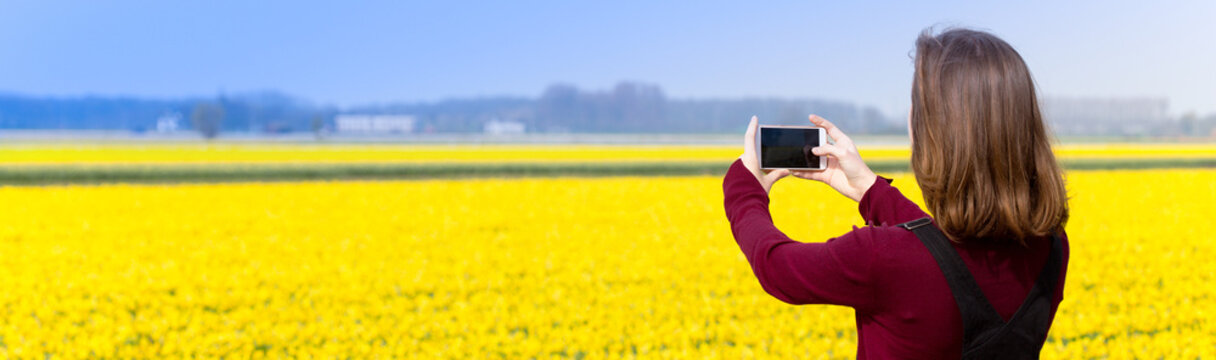 Girl takes pictures of a yellow daffodils on a smartphone